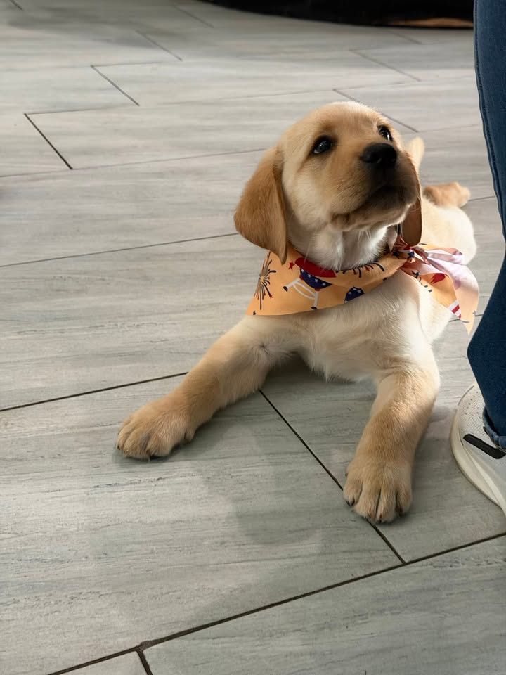 Clarisma K9’s