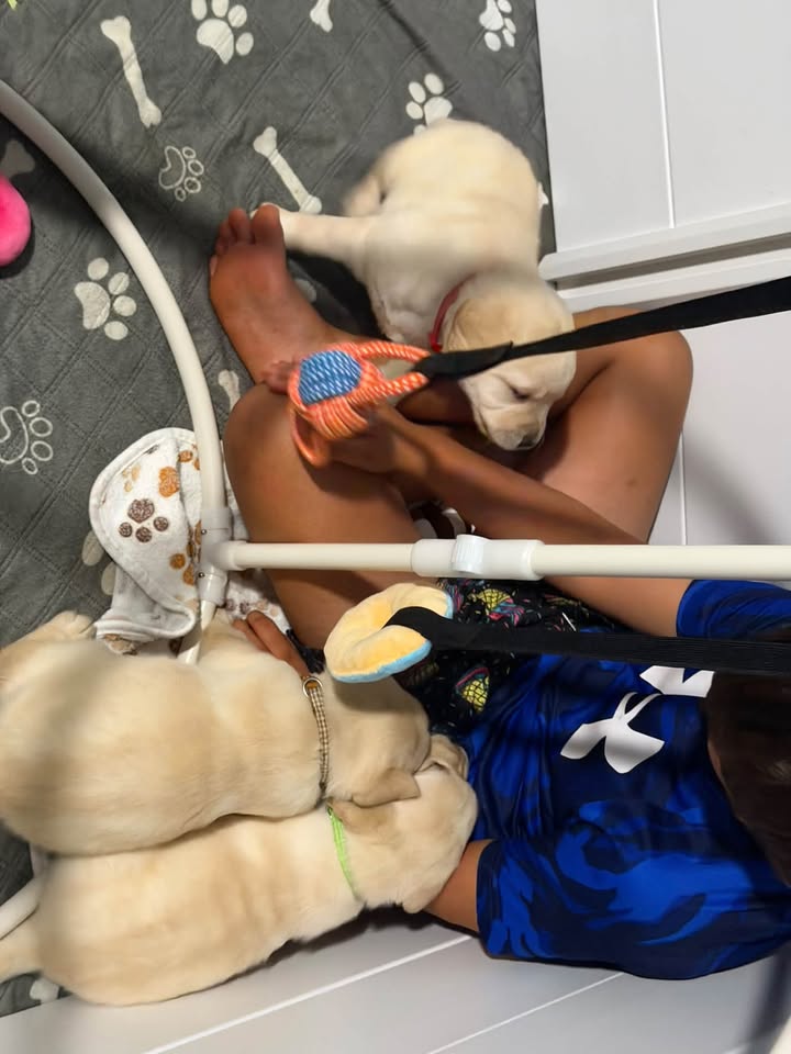 Clarisma K9’s