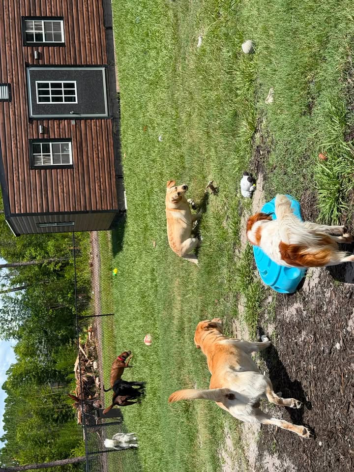 Clarisma K9 Services